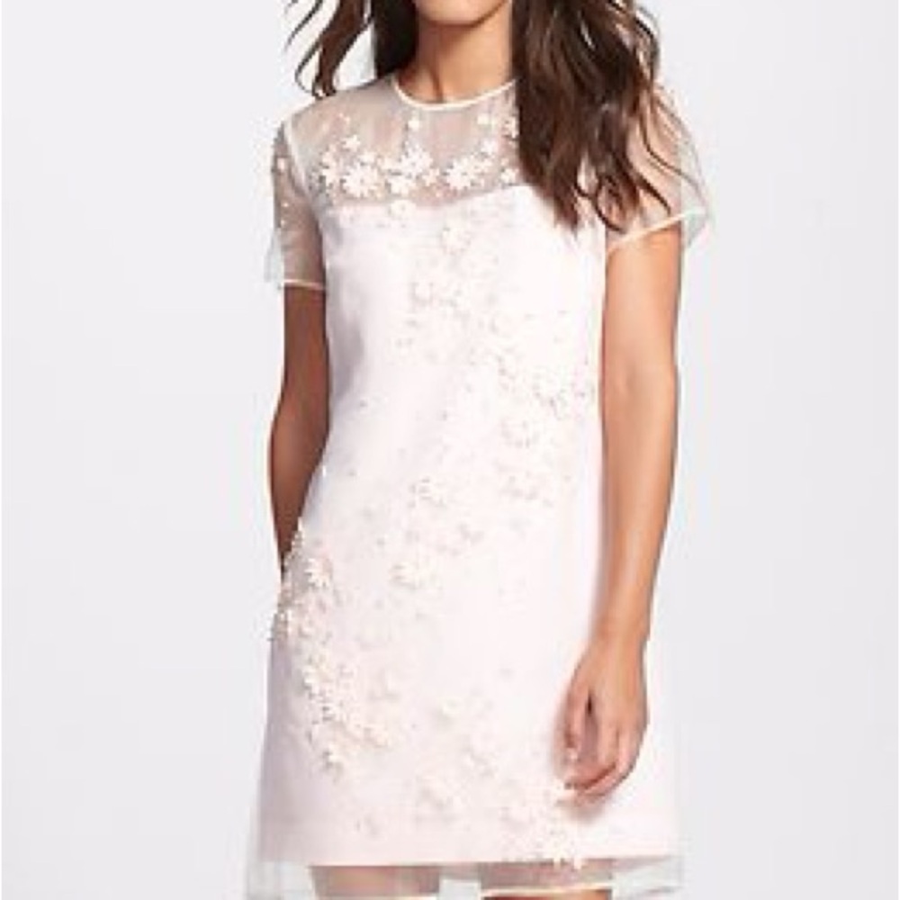 Ted Baker London Blush Pink Floral Embroidered Mini Dress